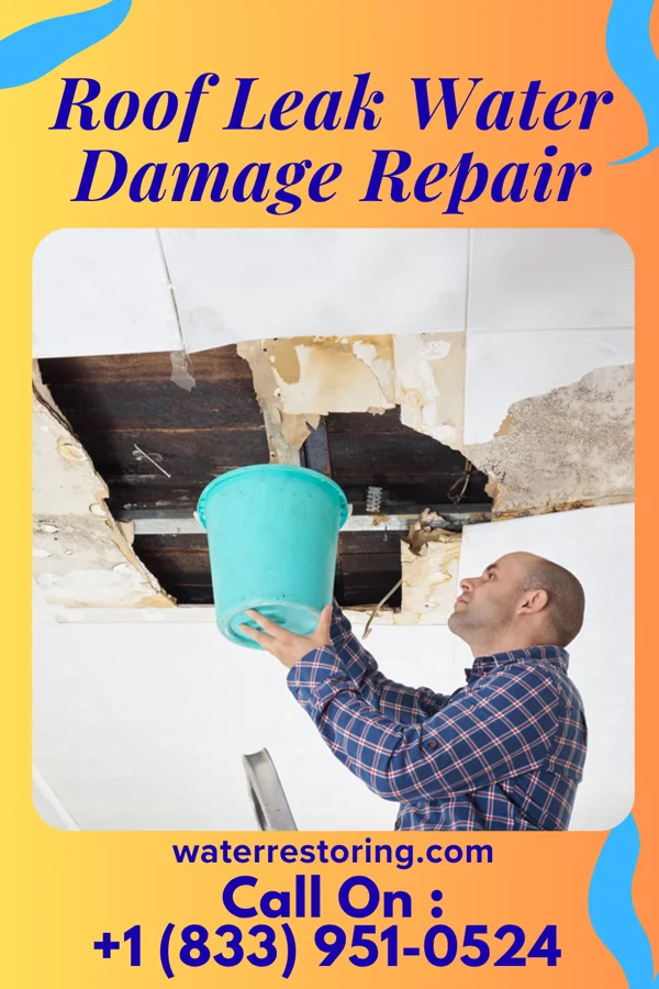 Roof Leak Water Damage Repair in Soldier, KS